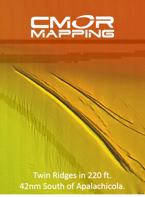 Image du produit 12